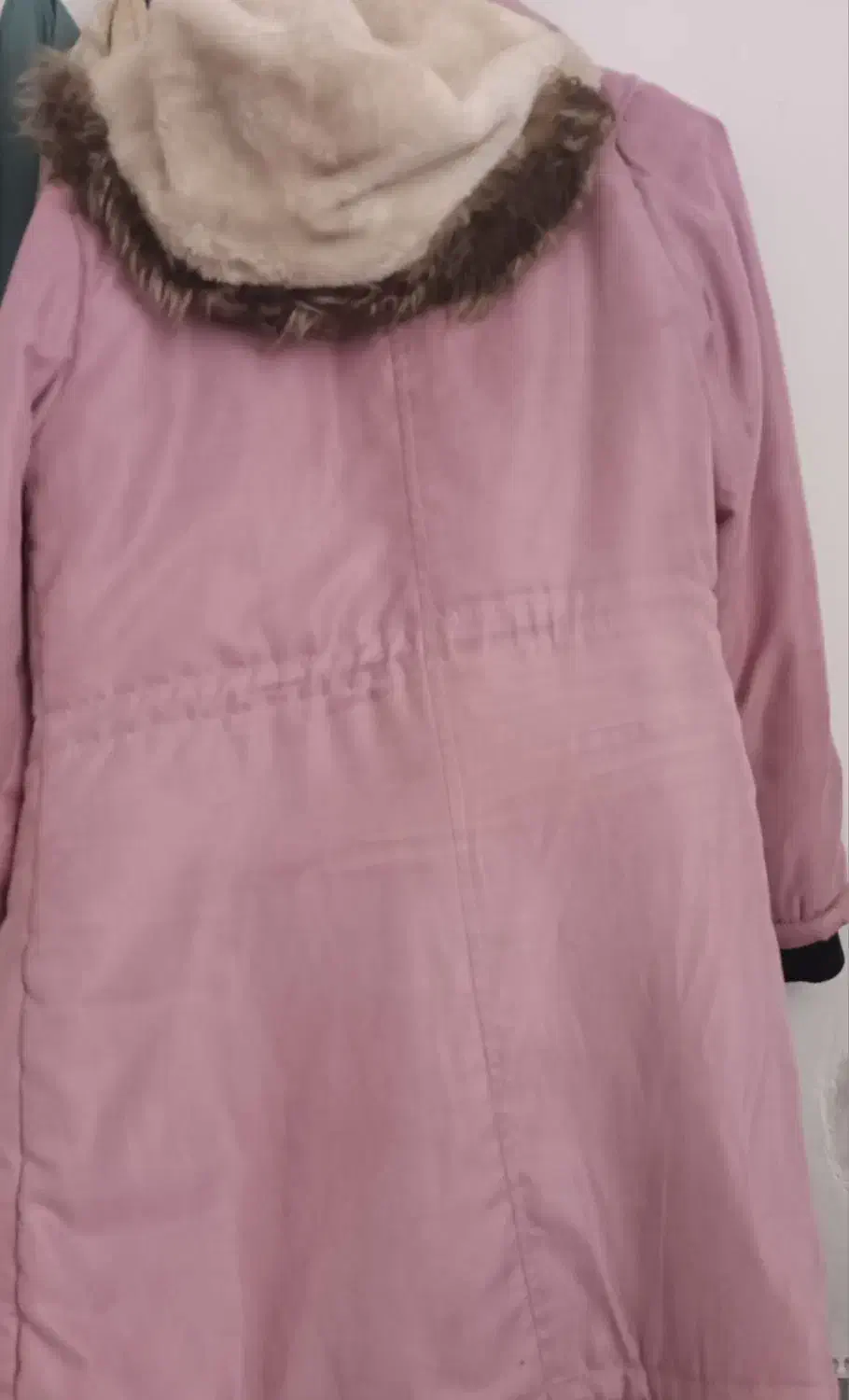 کاپشن سالم|لباس|بیرجند, |دیوار