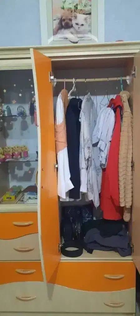 تخت و کمد کودک|تخت و سرویس خواب|نیریز, |دیوار