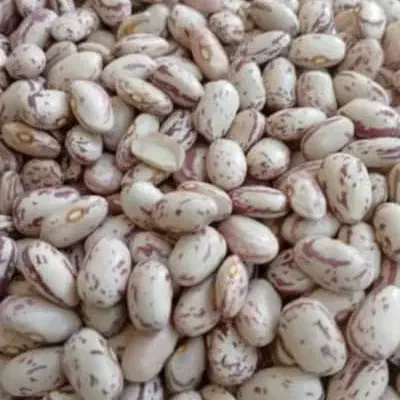 لوبیا چیتی|خوردنی و آشامیدنی|بانه, |دیوار