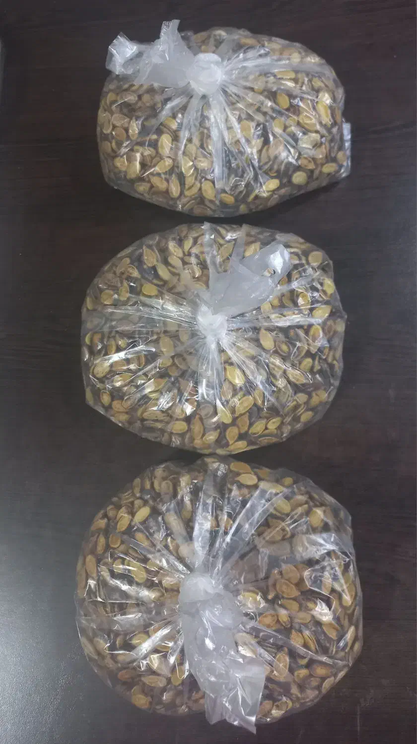 تخمه هندوانه دِیم|خوردنی و آشامیدنی|ری, سرتخت|دیوار