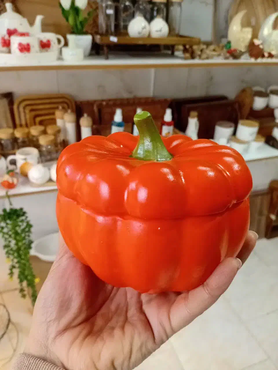 کدو|اسباب و اثاث بچه|مشهد, شهید آوینی|دیوار