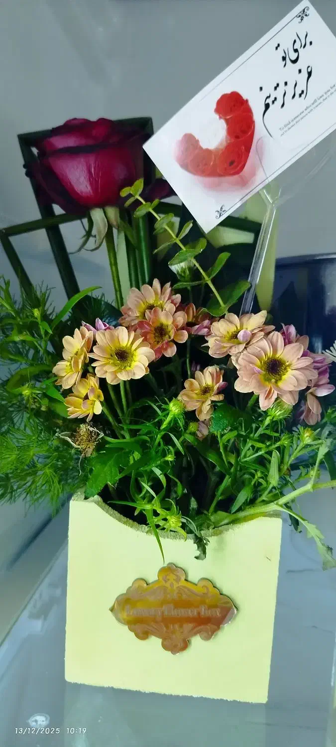 باکس گل زیبا|گل و گیاه طبیعی|کاشمر, |دیوار