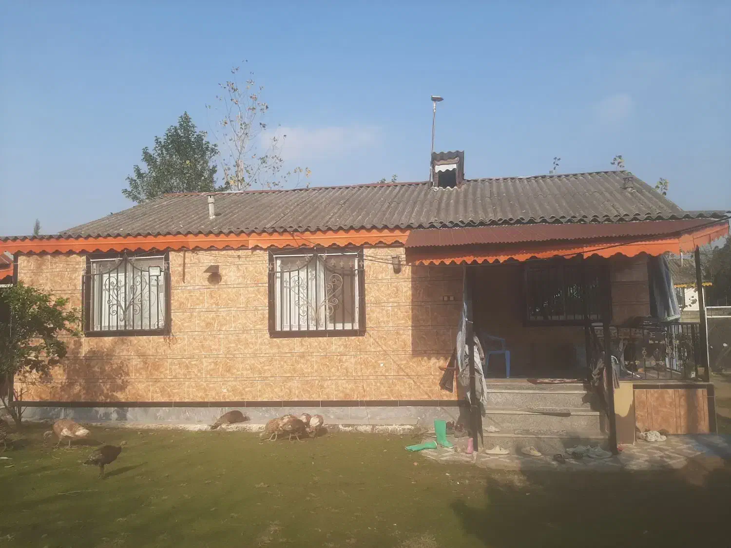 ویلا باغ روستایی|فروش خانه و ویلا|رضوانشهر, |دیوار