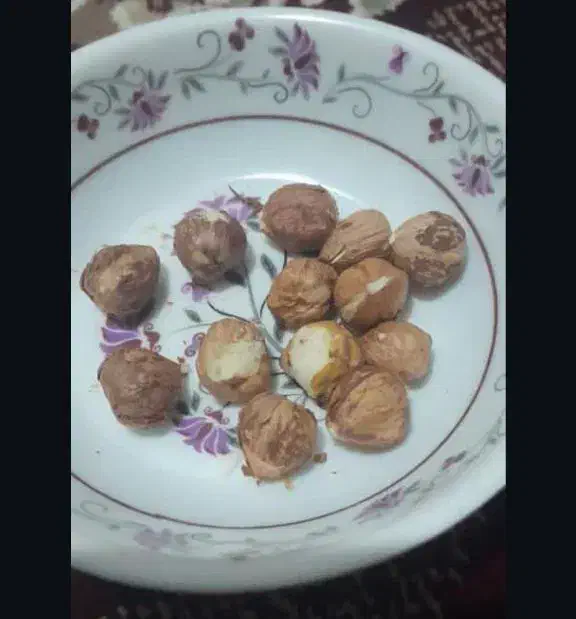 فندق تازه طارم|خوردنی و آشامیدنی|کرج, آق تپه|دیوار