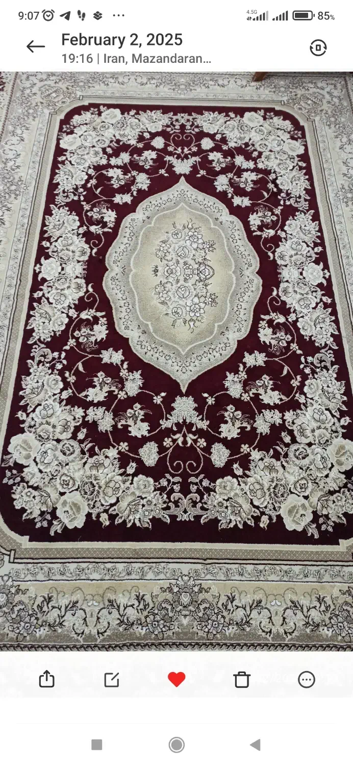 فرش ۶ متری|فرش|ساری, |دیوار