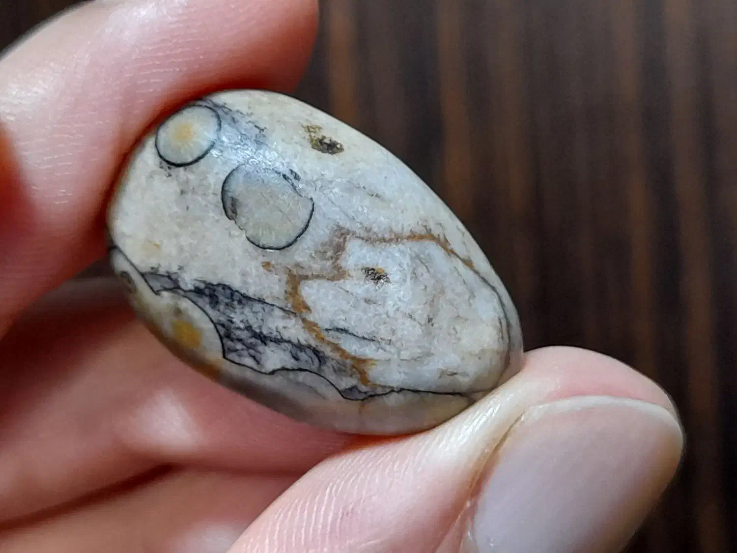 سنگ های عتیقه مصور کلکسیونی|کلکسیون اشیاء عتیقه|تهران, منیریه|دیوار