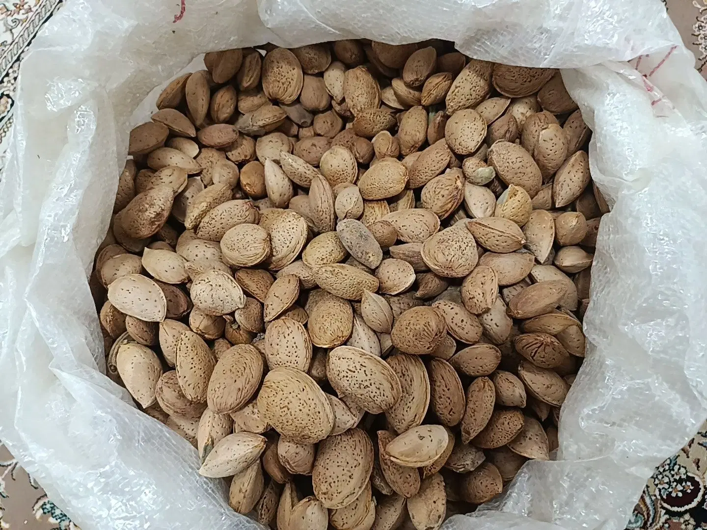 بادام|خوردنی و آشامیدنی|کامیاران, |دیوار