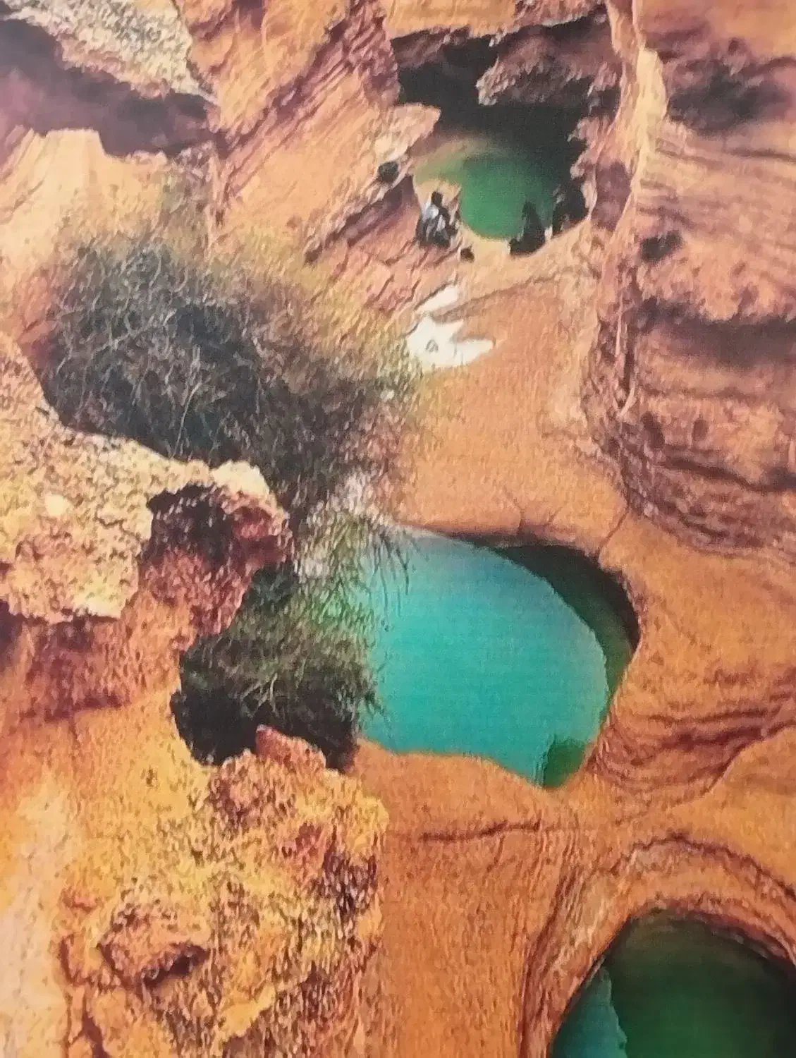 گشت جزیره قشم دربست|تور و چارتر|قشم, |دیوار