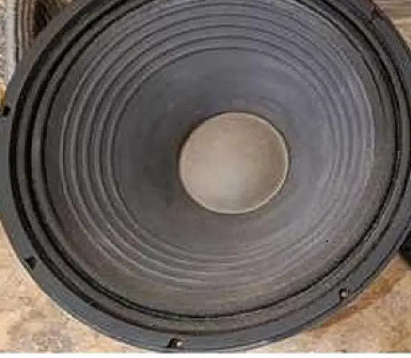 بلندگو 15 اینچ|سیستم صوتی خانگی|مهر, |دیوار