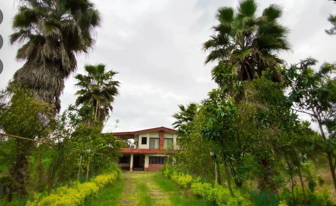 2800 متر زمین ۷ خوابه|فروش خانه و ویلا|عباسآباد, |دیوار