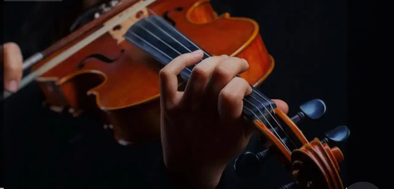 آموزش تخصصی ویولن در غرب تهران|خدمات آموزشی|تهران, دکتر هوشیار|دیوار
