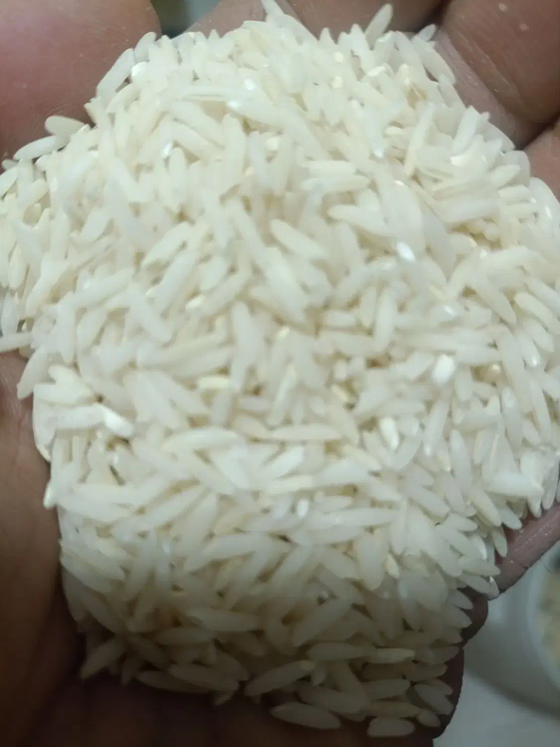 برنج شمال درجه یک|خوردنی و آشامیدنی|شاهین‌شهر, شهرک میلاد|دیوار