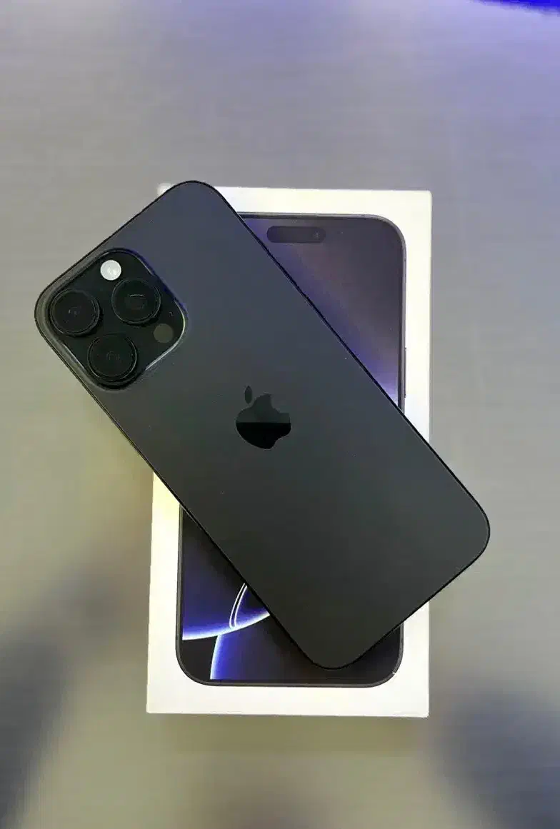 16promax|موبایل|شیراز, سرو|دیوار