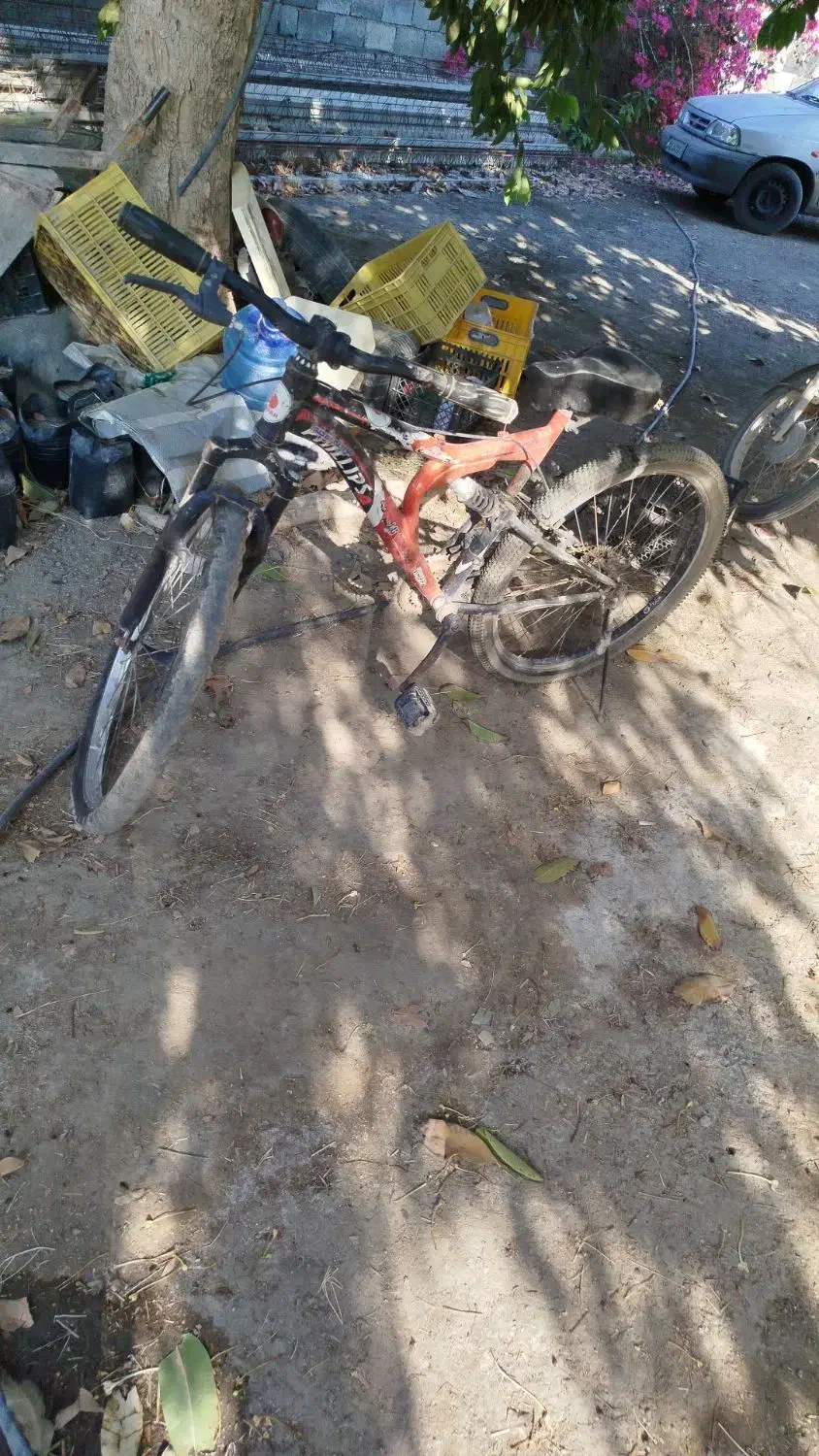 دوچرخه سالم فروشی|دوچرخه، اسکیت، اسکوتر|بیکاه, |دیوار