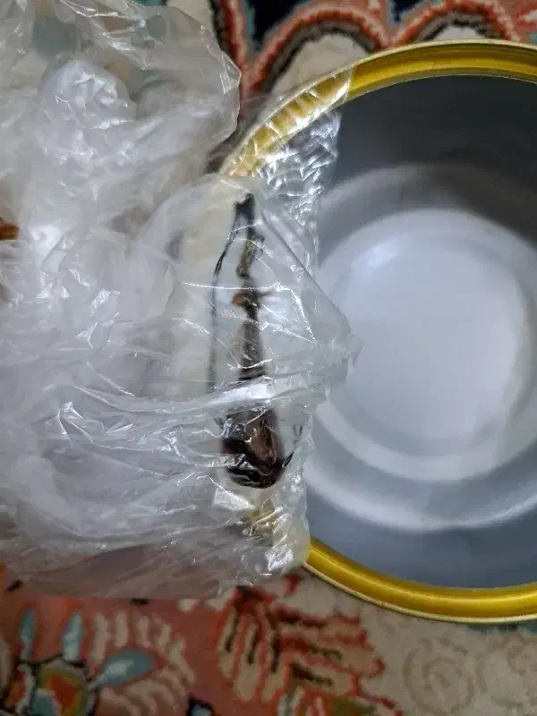 درمان|فعالیت داوطلبانه تحقیقاتی|فولادشهر, B2|دیوار