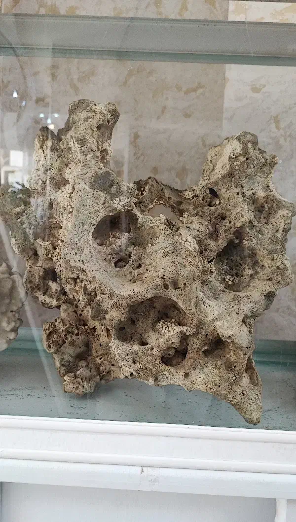 آکواریوم شرکتی شیشه خم ماهیران|لوازم جانبی حیوانات|همدان, |دیوار