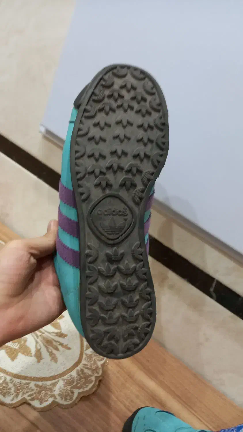 کتونی زد ایکس|کیف، کفش، کمربند|ری, شهادت|دیوار