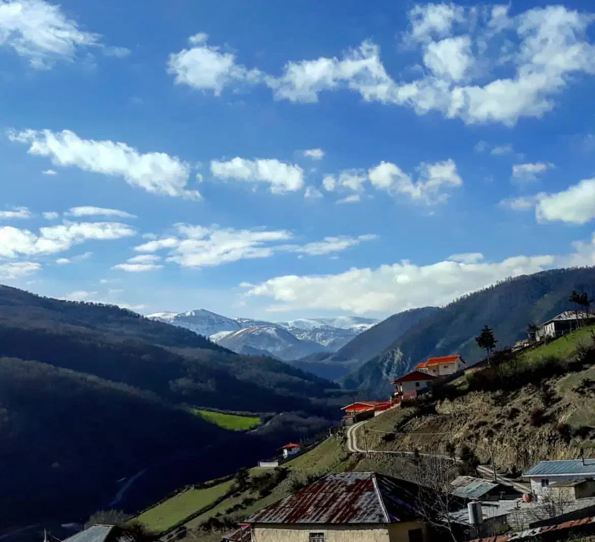 ۲۸۰ متر بافت سند دار سوادکوه زیراب پلسفید|فروش زمین و ملک کلنگی|زیرآب, |دیوار