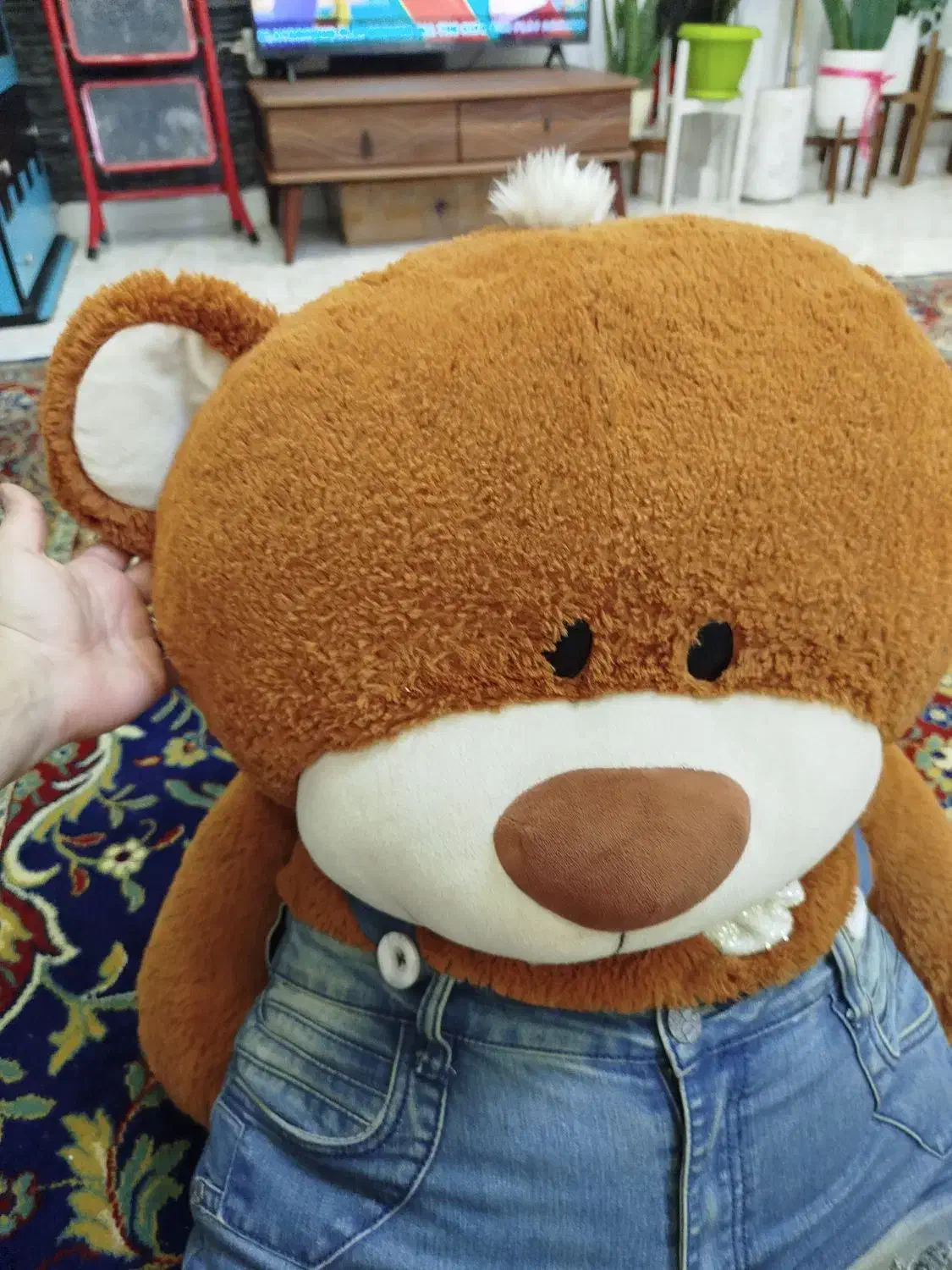 خرس 1متری|اسباب‌‌بازی|بندر انزلی, ساحل قو|دیوار