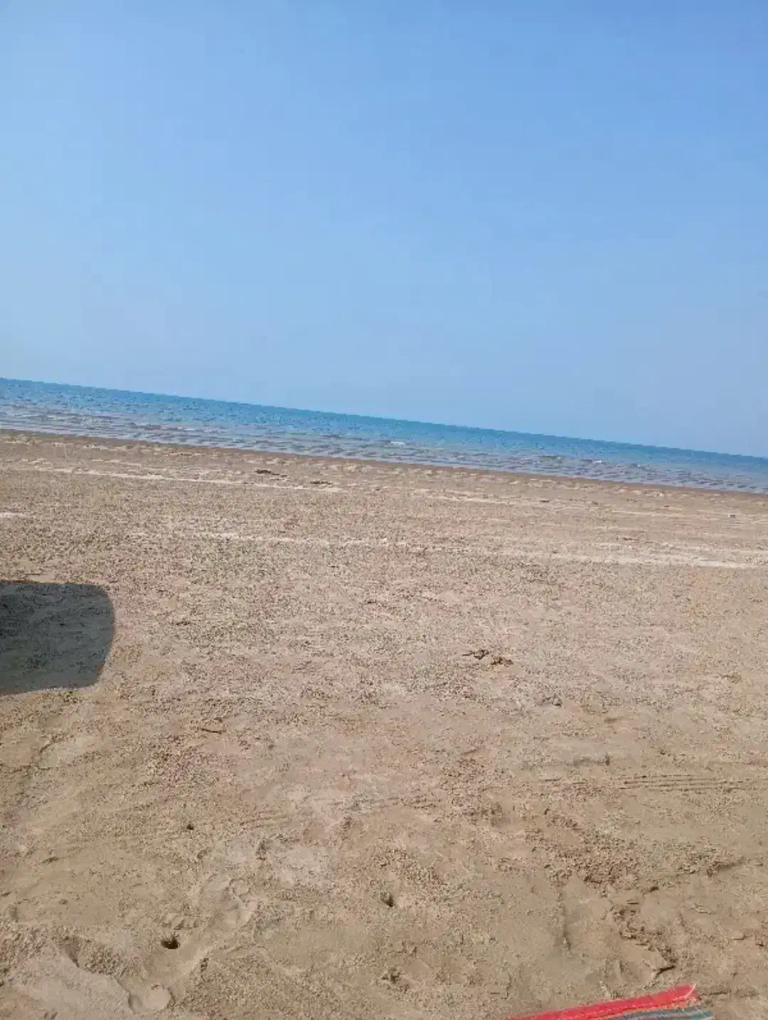 راهنمایی ماهیگیری با قایق و همراه ماهیگیری|فعالیت داوطلبانه|بوشهر, |دیوار