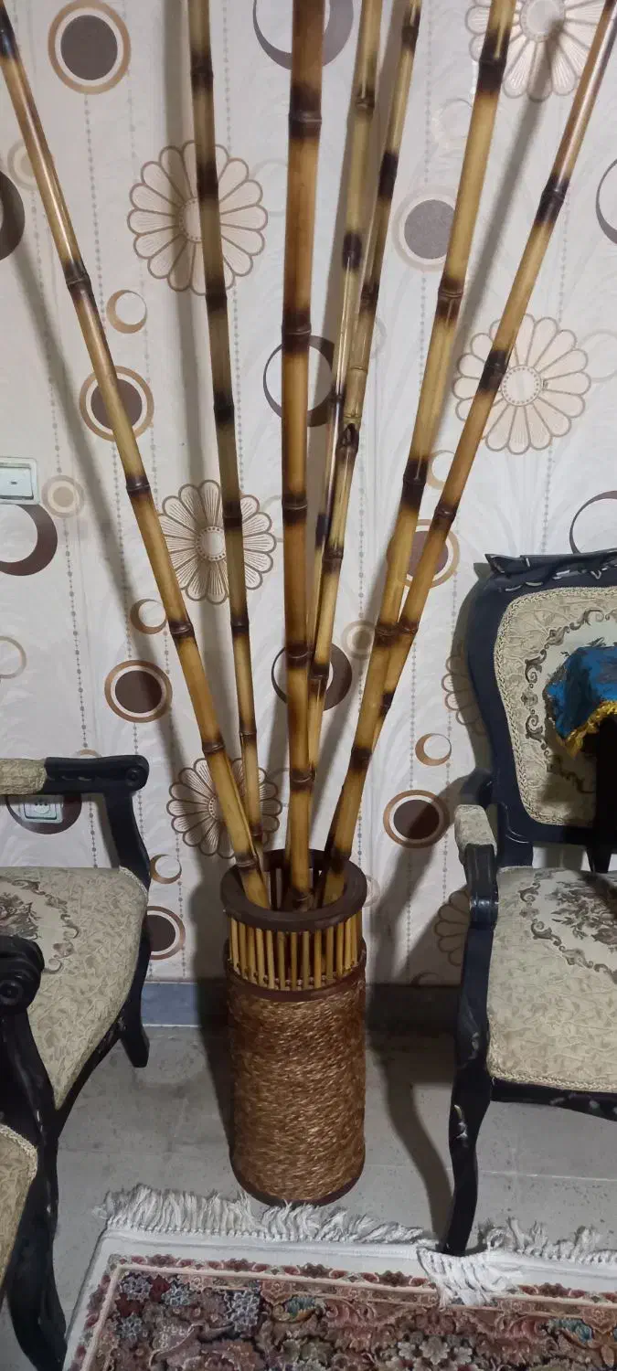 صنایع چوبی نو|صنایع دستی و سایر لوازم تزئینی|قزوین, |دیوار