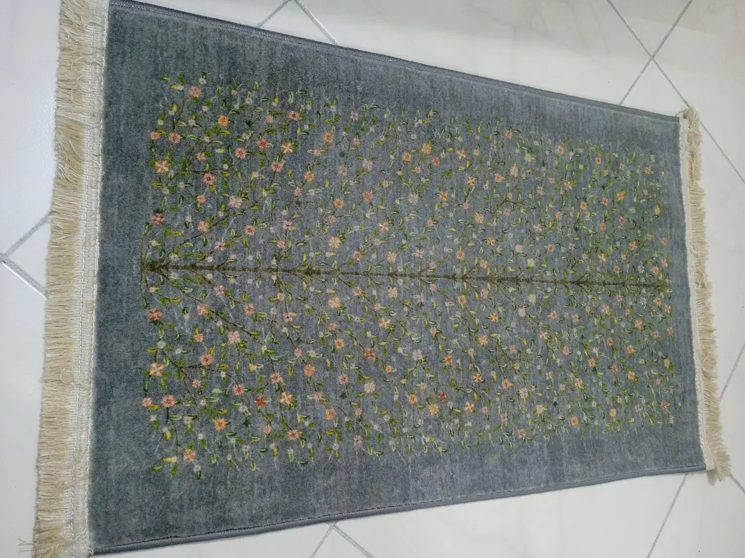 ۳عدد پادری همگی باهم در حد نو نو نو|پادری|شیراز, فرهنگ شهر|دیوار