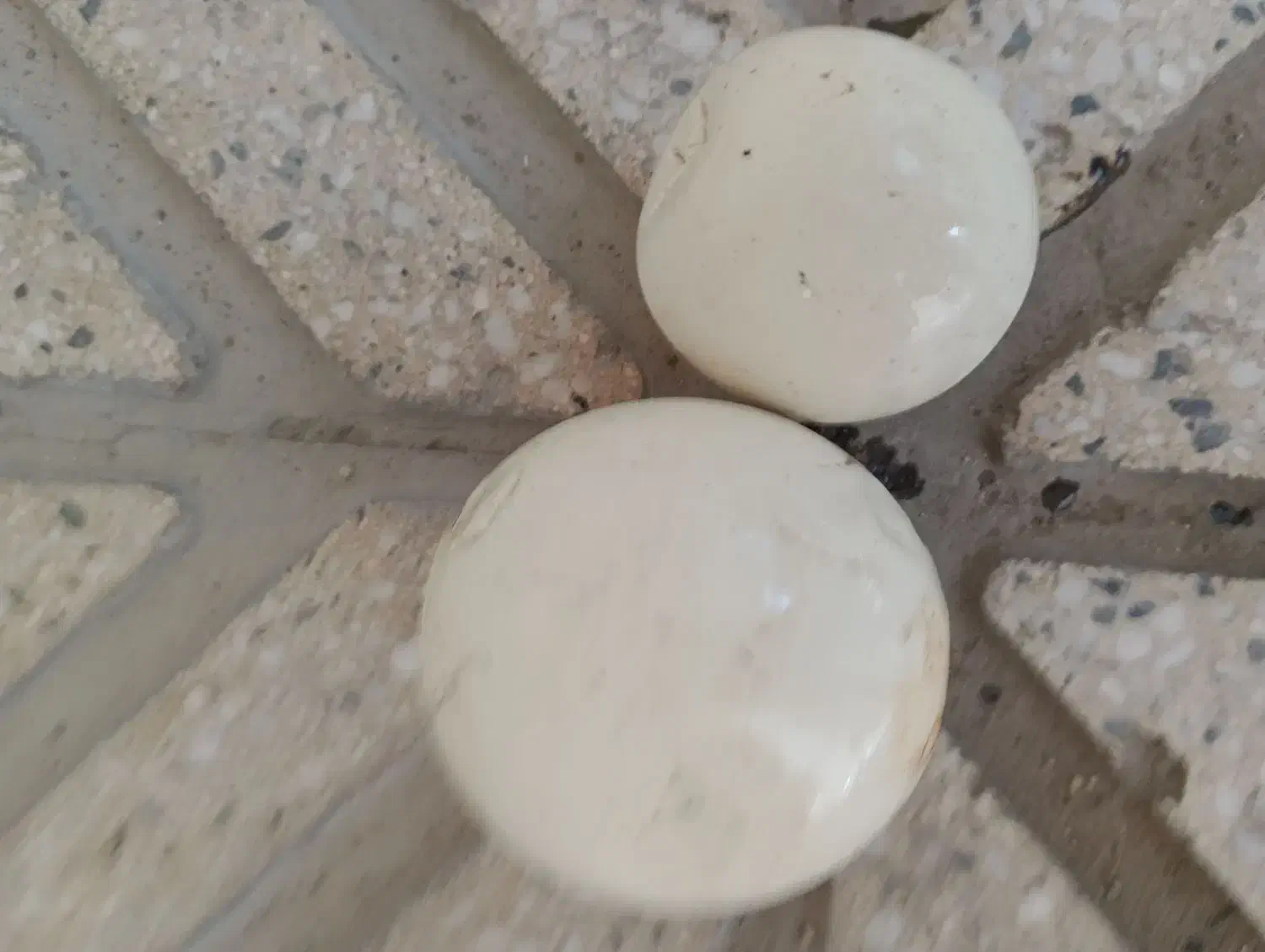 سنگ آسیاب دو رنگ متفاوت|کلکسیون اشیاء عتیقه|همدان, |دیوار