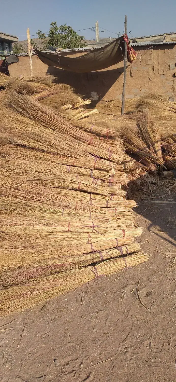 جاروی شهرداری|لوازم نظافت|یاسوج, |دیوار