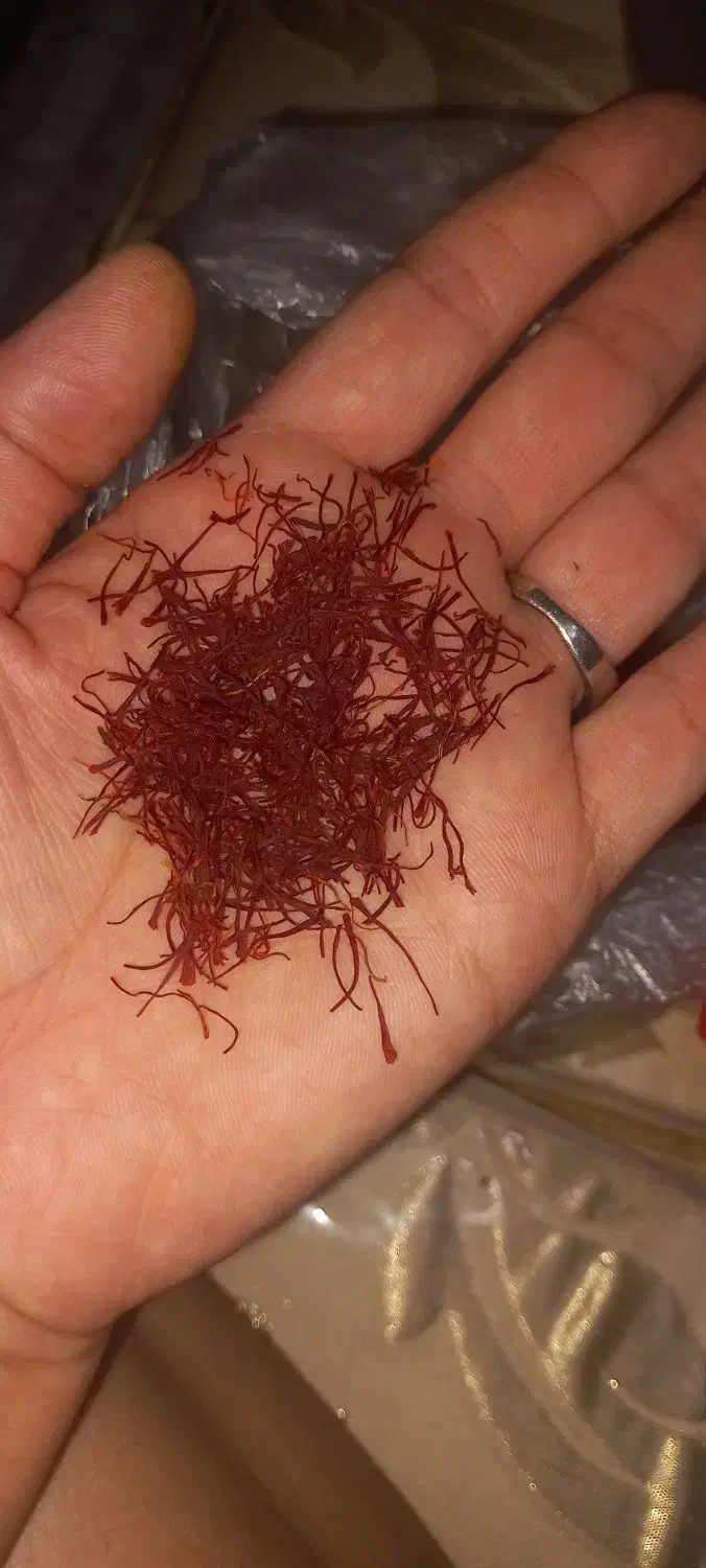 زعفران تازه اصل|خوردنی و آشامیدنی|پاکدشت, پاکدشت (مامازند)|دیوار