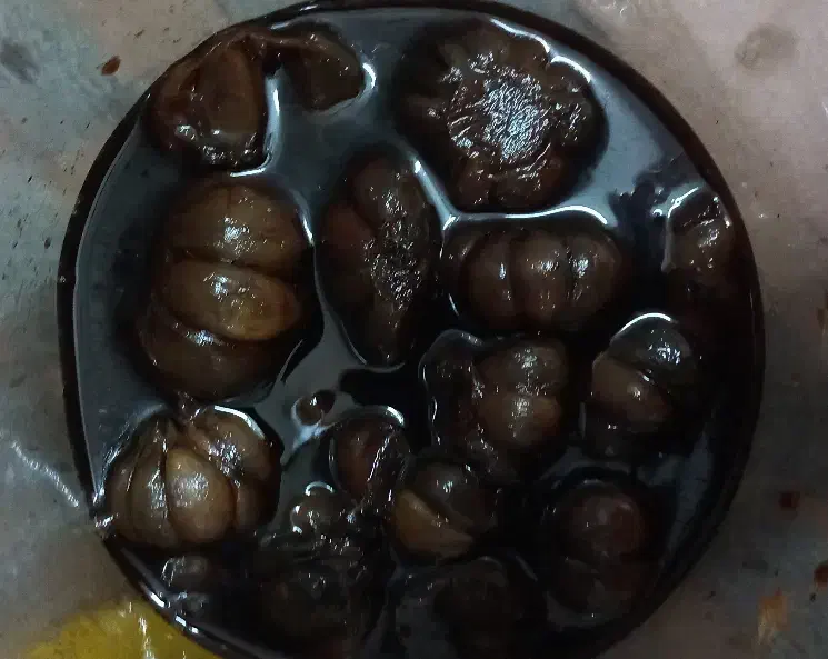 سیرترشی ۸ ساله خونگی خوشمزه|خوردنی و آشامیدنی|مزرعه کتول, |دیوار