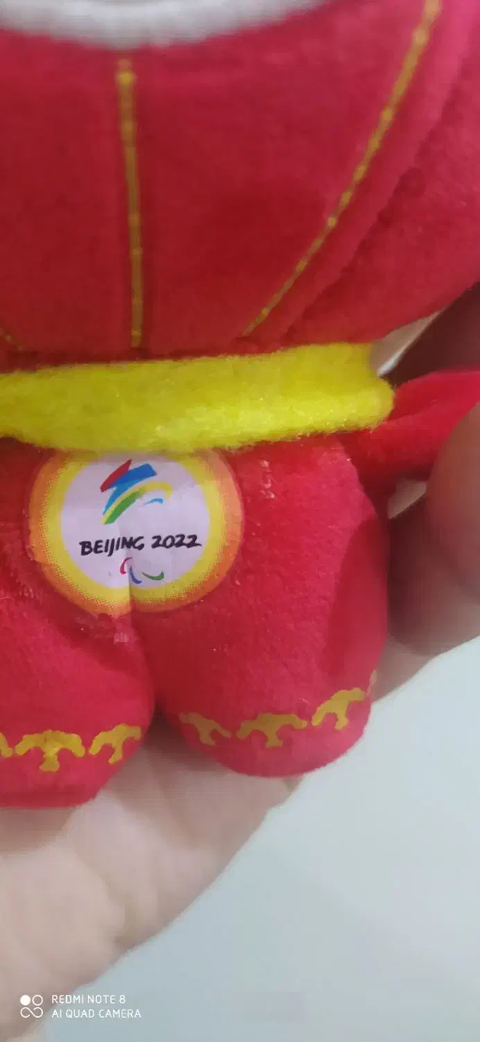 نماد المپیک 2022 بیجینگ|صنایع دستی و سایر لوازم تزئینی|کرج, ساسانی (قلمستان)|دیوار