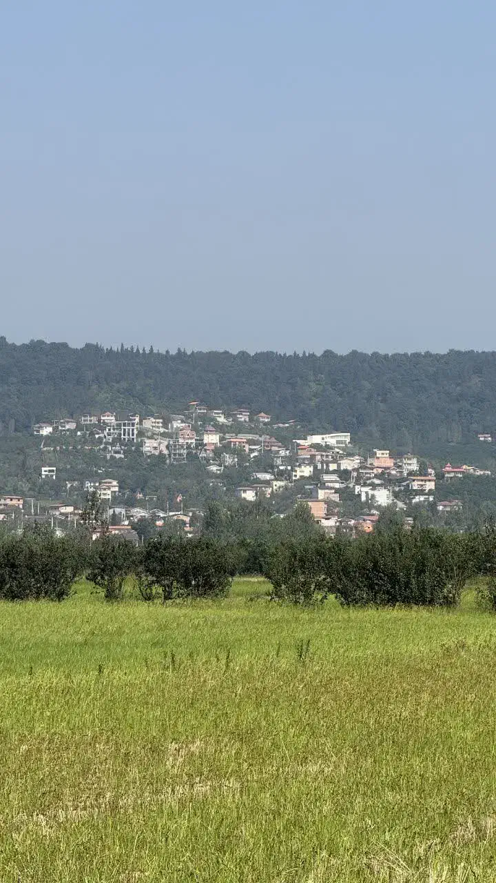 ۲۶۰۰ متر زمین کشاورزی در بابلکنار|فروش دفتر صنعتی، کشاورزی، تجاری|بابل, |دیوار