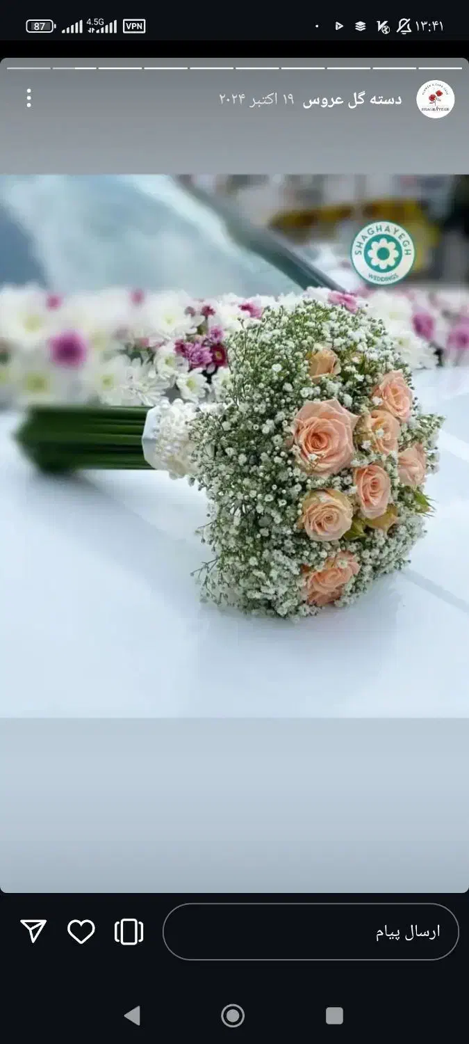 راهنمایی سریع|فعالیت داوطلبانه تحقیقاتی|قم, امامزاده ابراهیم|دیوار