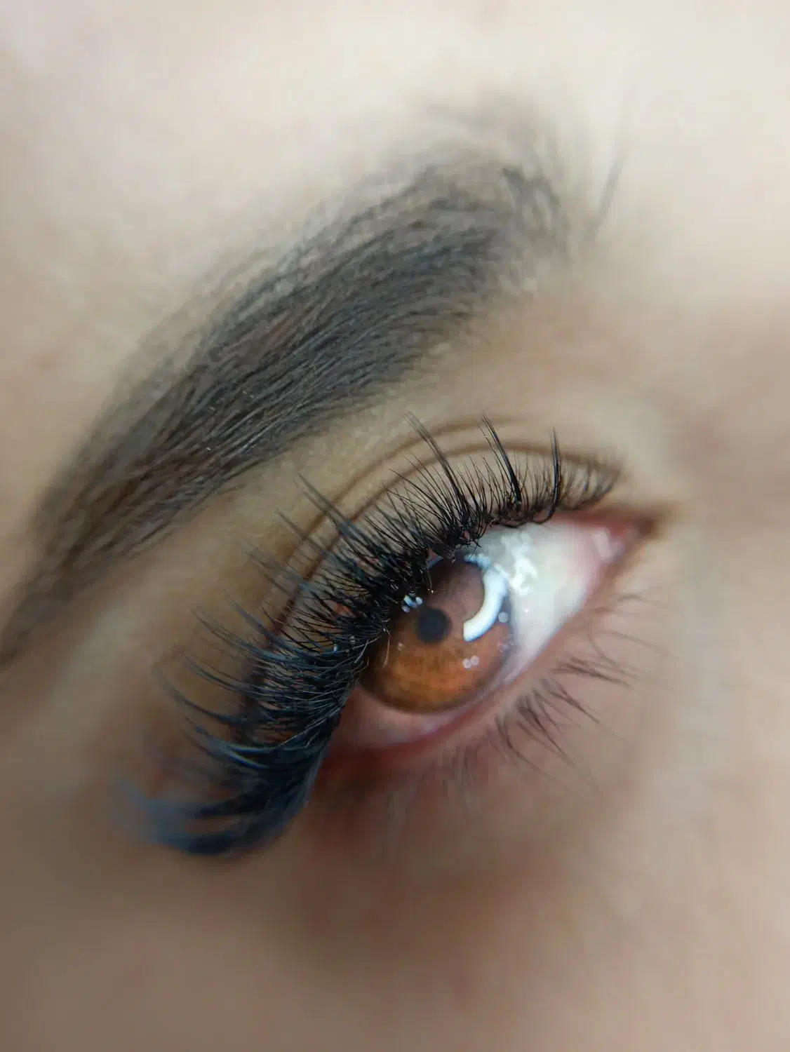 خدمات و آموزش تخصصی اکستنشن مژه و لیفت مژه و ابرو|خدمات آموزشی|یزد, |دیوار