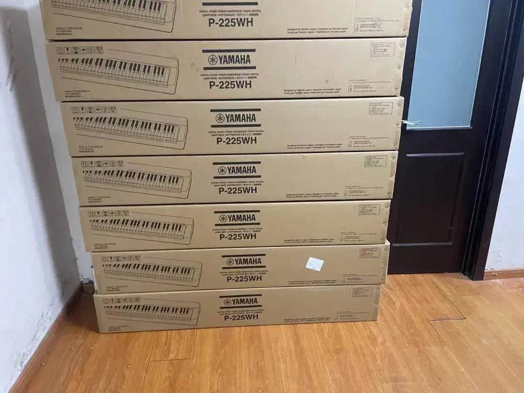 پیانو پرتابل p225 white|پیانو، کیبورد، آکاردئون|قم, مصلاء|دیوار