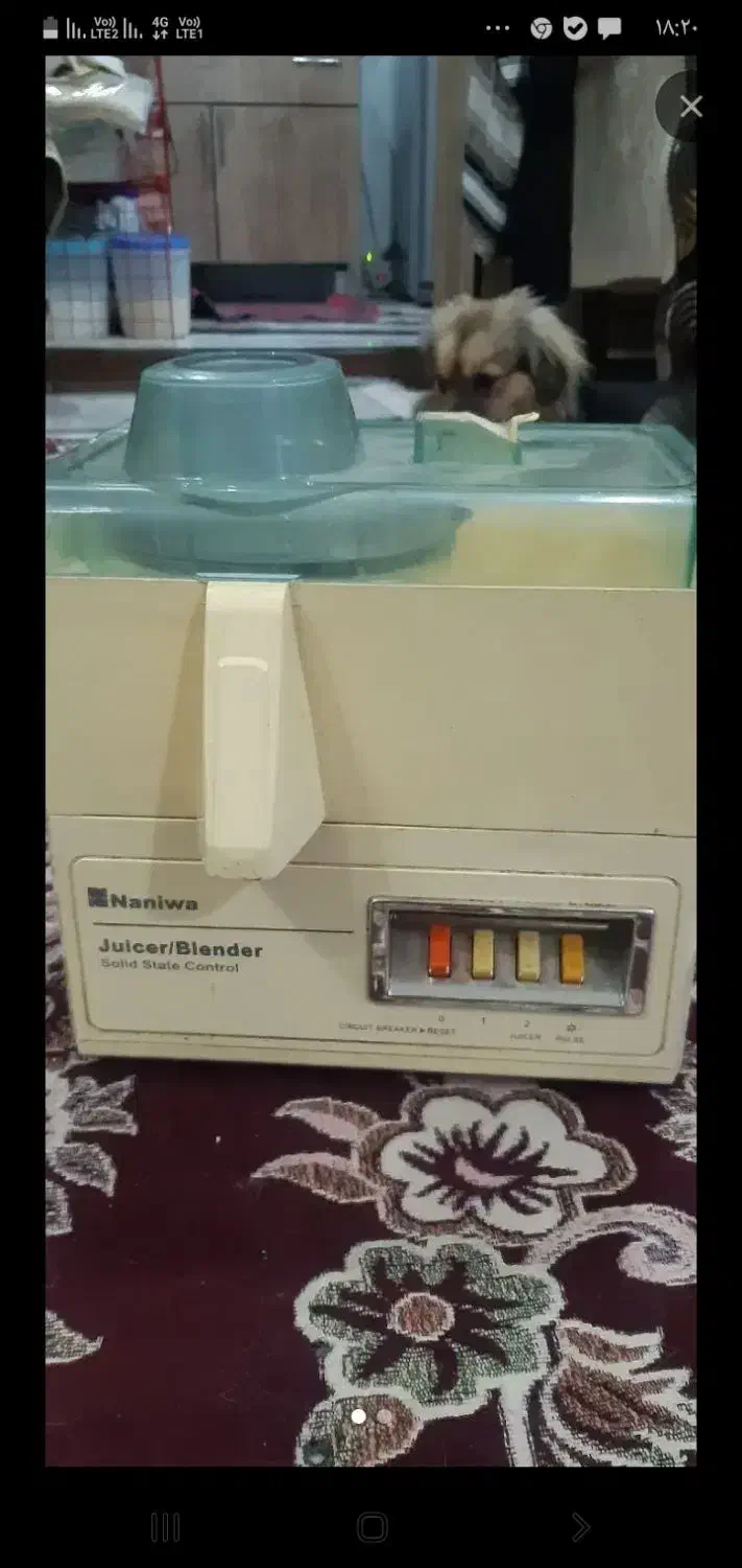 آبمیوه گیری|آبمیوهگیر و آبمرکباتگیر|چالوس, |دیوار