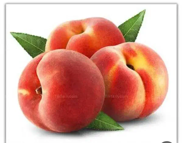 باغ|فروش زمین و ملک کلنگی|نوشین شهر, |دیوار