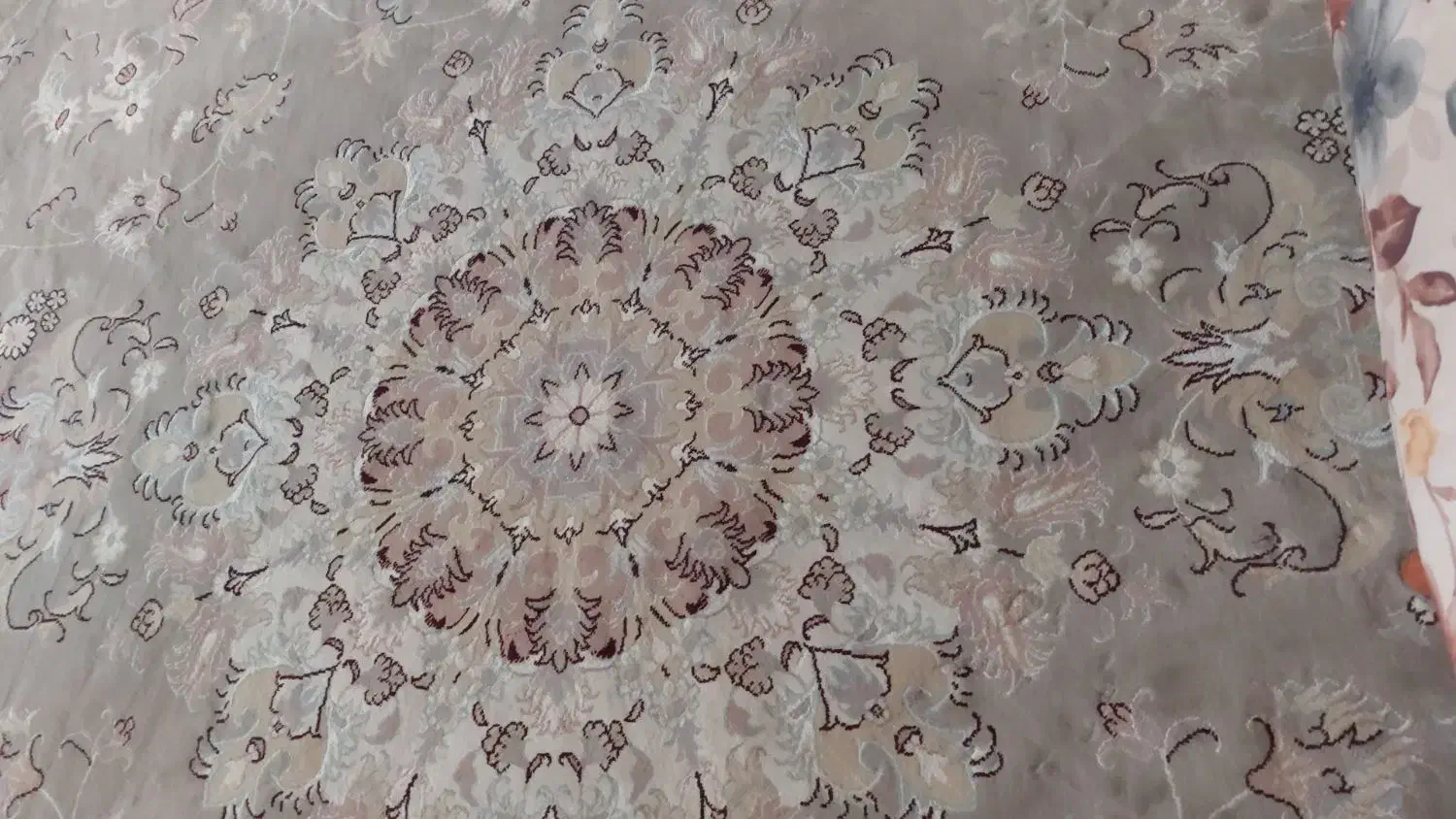 ۴ تخته فرش ۹ متری پاتریس|فرش|دماوند, دماوند|دیوار