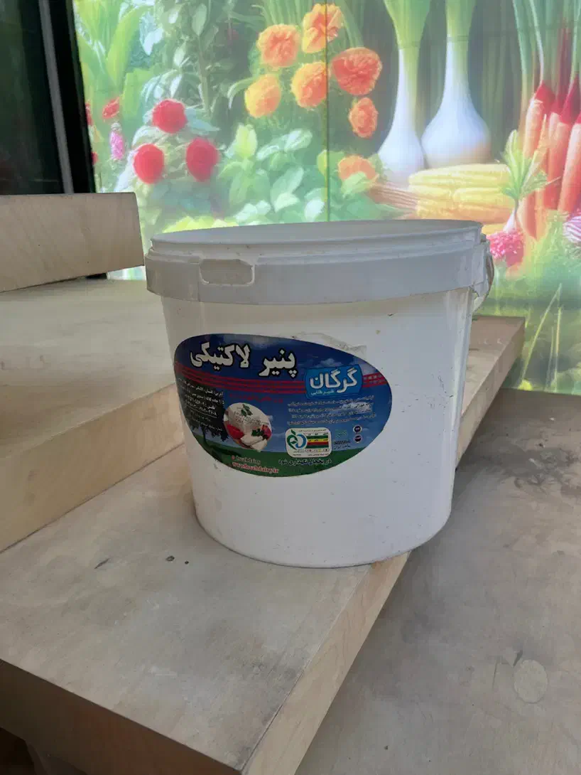 ۲۰۰عددموجودهستش باقیمت مناسب|ظروف نگهدارنده، پلاستیکی، یک‌بارمصرف|قشم, |دیوار