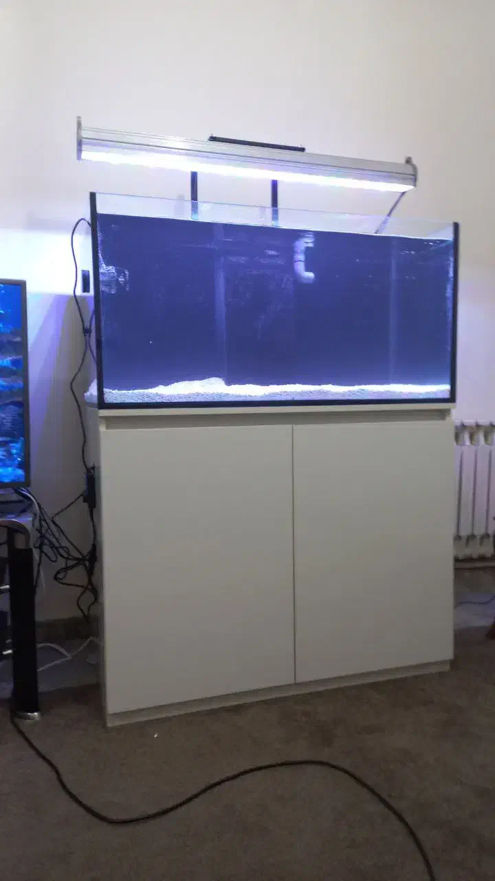 فروش اکواریوم آب شور کامل|ماهی|تهران, شهرک آزمایش|دیوار