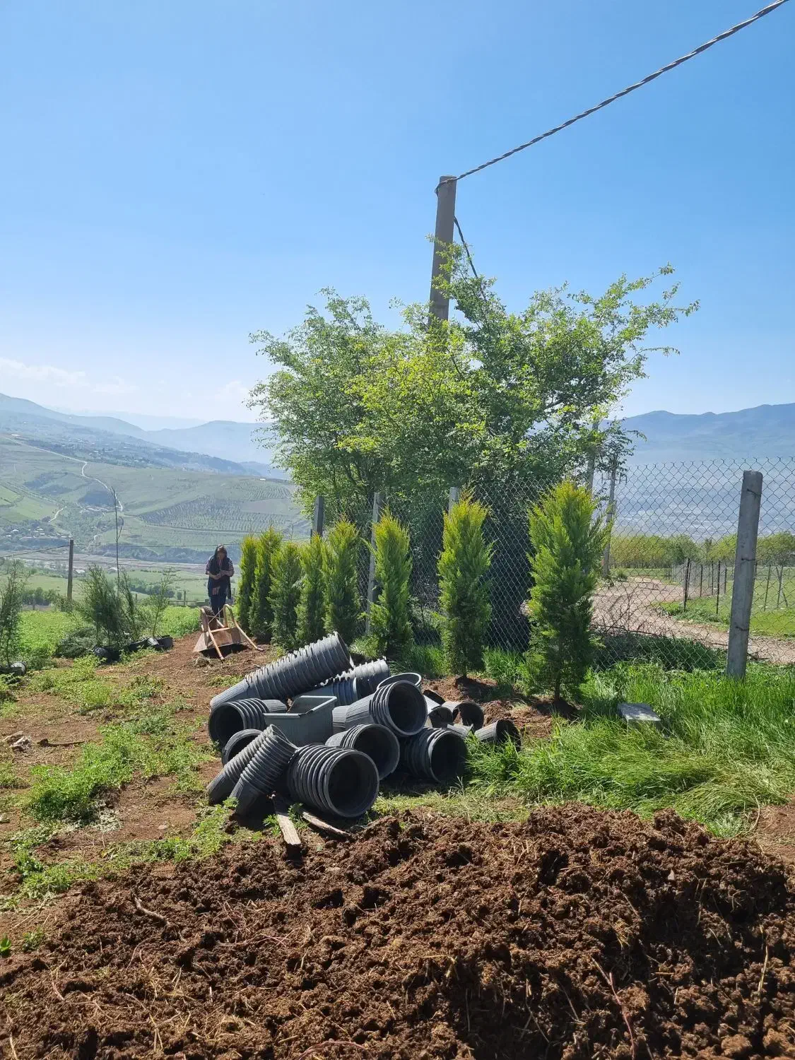 زمین با کاربری باغی|فروش زمین و ملک کلنگی|توتکابن, |دیوار