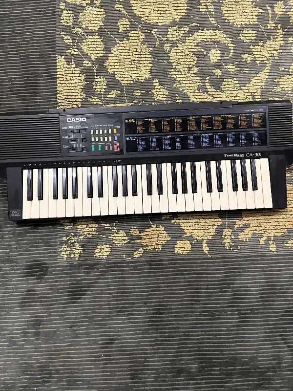 ارگ کاسیو|پیانو، کیبورد، آکاردئون|رشت, فرزانه|دیوار