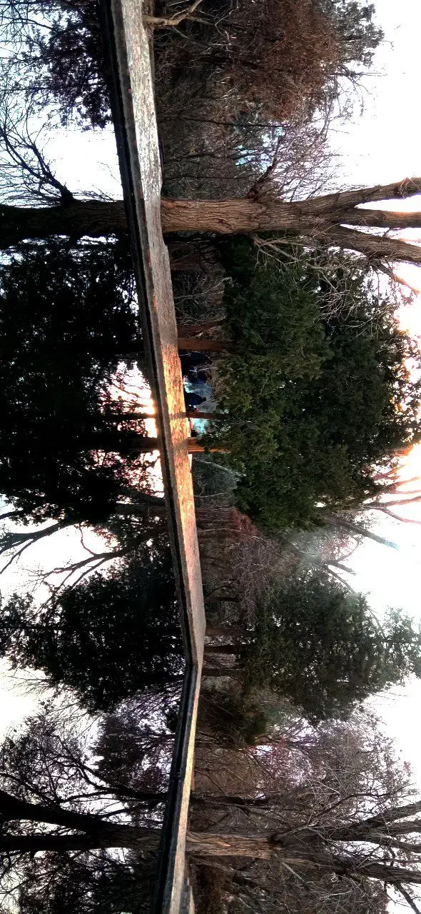 ادیتور|خدمات رایانهای و موبایل|سنندج, |دیوار