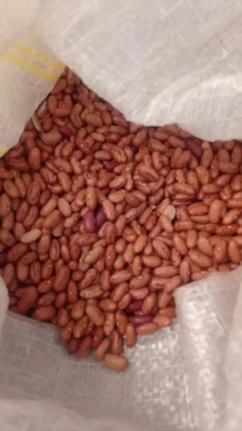 حبوبات درجه یک|خوردنی و آشامیدنی|شیراز, عادل آباد|دیوار