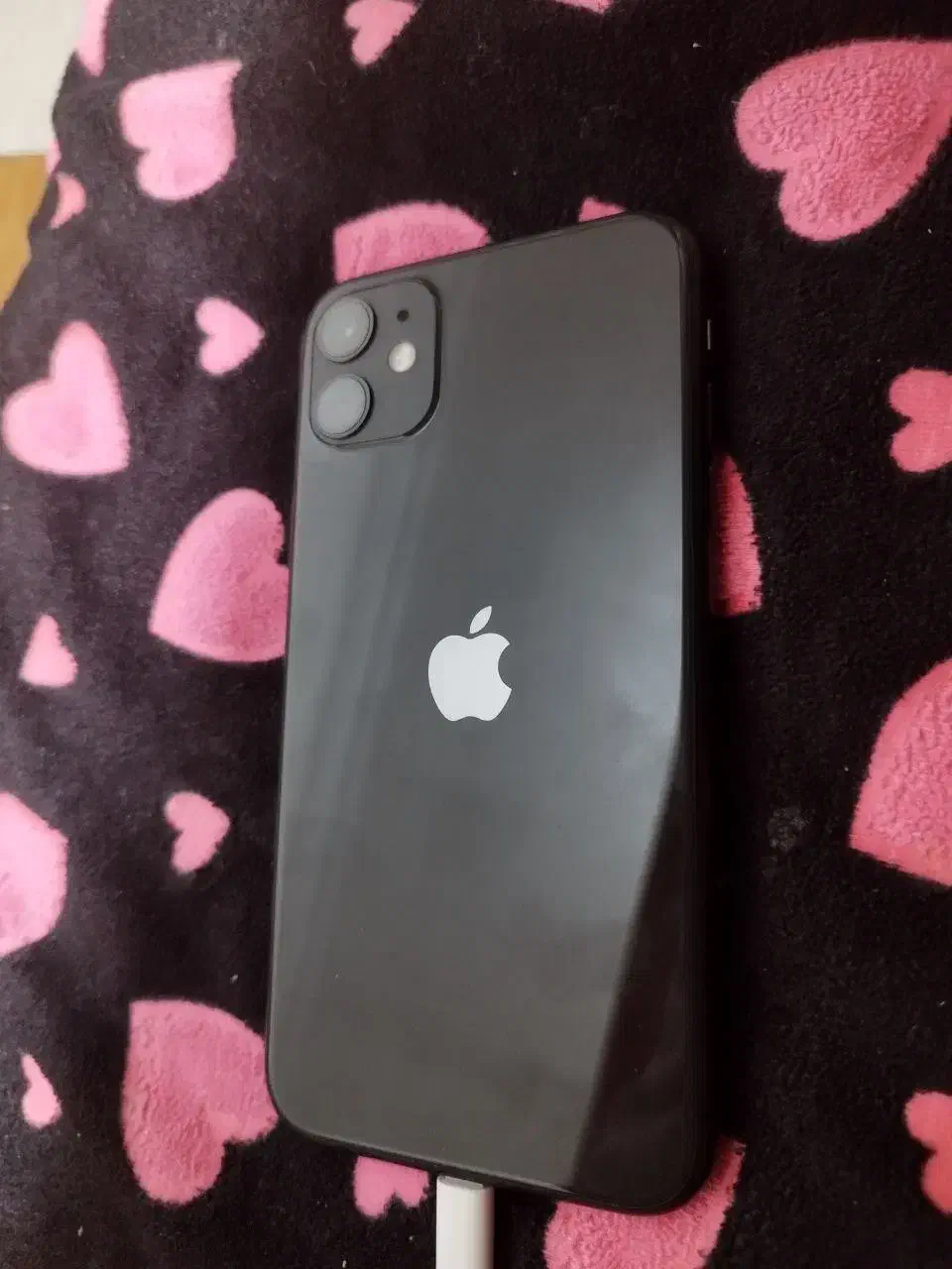 آیفون ۱۱ نرمال|موبایل|گرگان, |دیوار