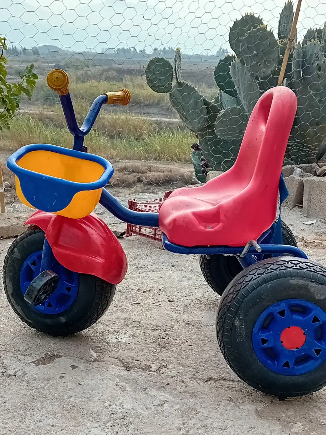 سه چرخه در حد|دوچرخه، اسکیت، اسکوتر|گنبد کاووس, |دیوار