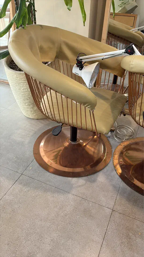 صندلی کوپ ۴ عدد|آرایشگاه و سالنهای زیبایی|ساری, |دیوار