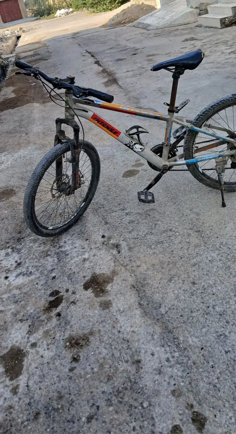 دوچرخه 24|دوچرخه، اسکیت، اسکوتر|امیدیه, |دیوار