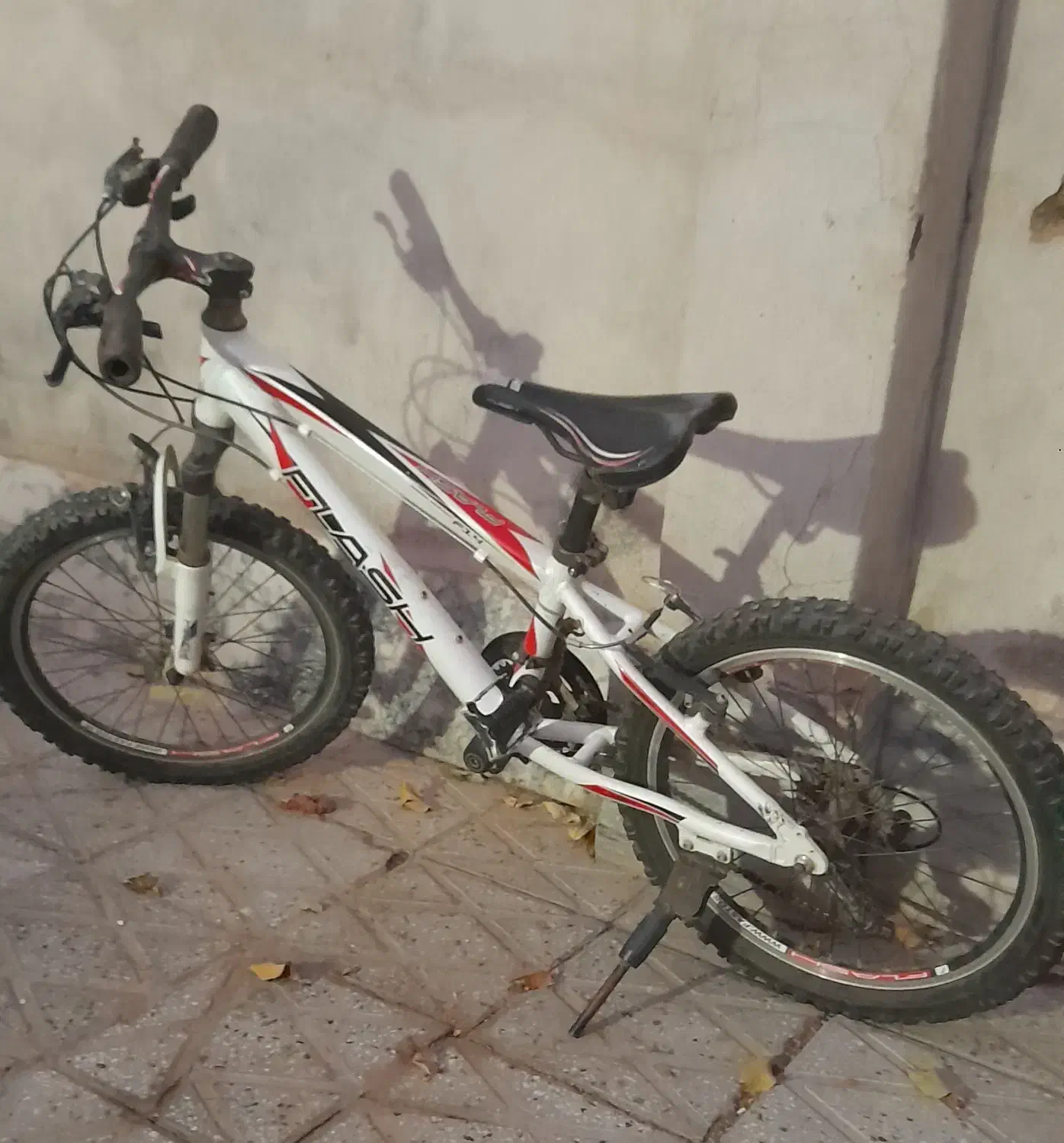 دوچرخه ۲۰حرفه ای برند فلش|دوچرخه، اسکیت، اسکوتر|تربت‌حیدریه, بوستان باغ ملی|دیوار