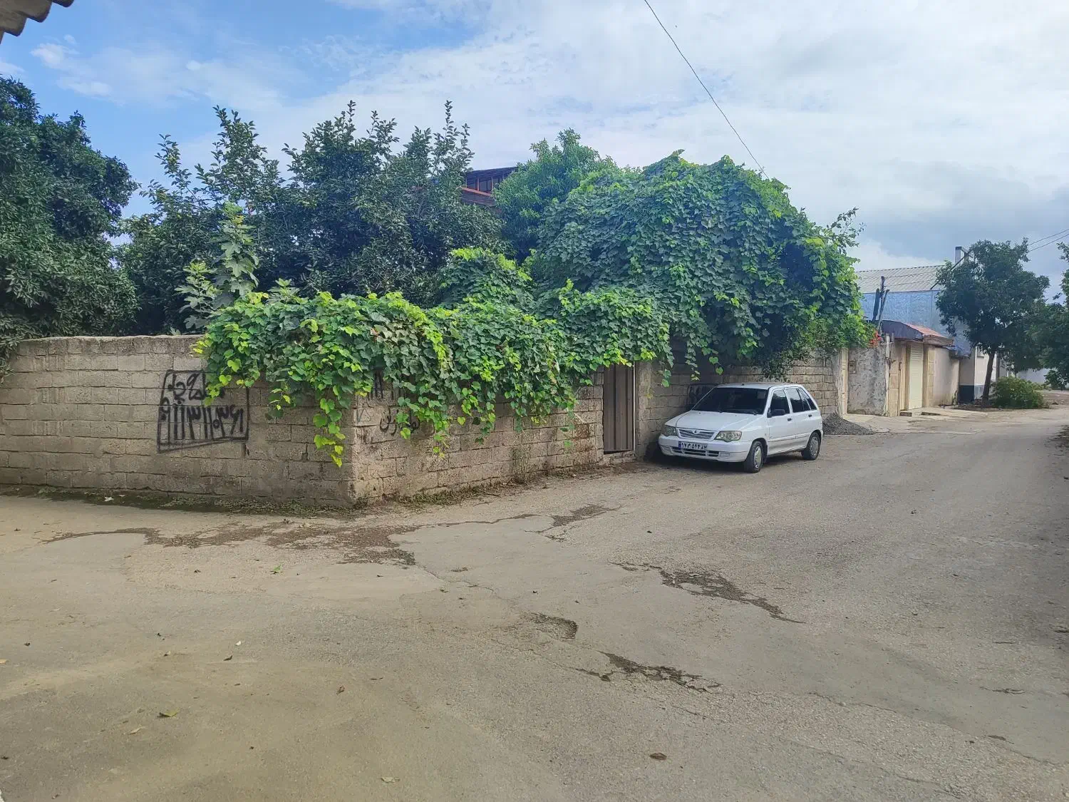 زمین مسکونی دوبر|فروش زمین و ملک کلنگی|امیرکلا, |دیوار